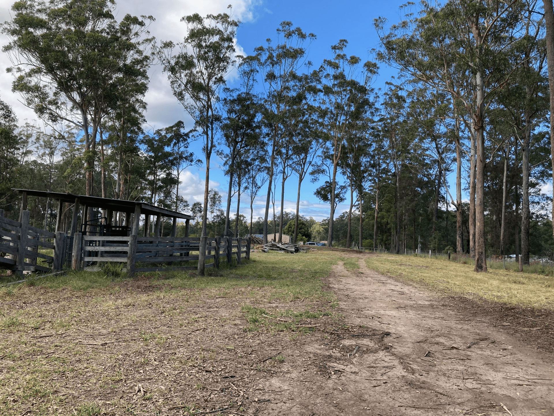 110 Myers Lane, Dondingalong, NSW 2440