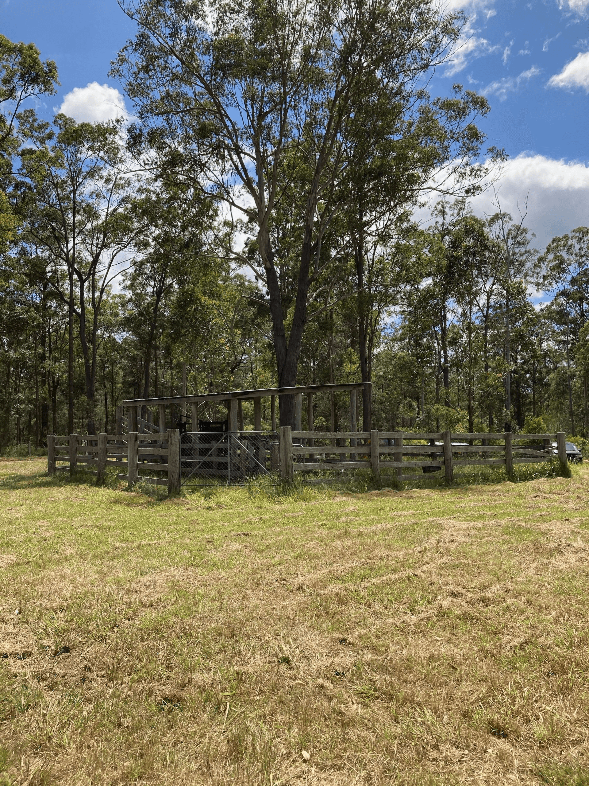 110 Myers Lane, Dondingalong, NSW 2440