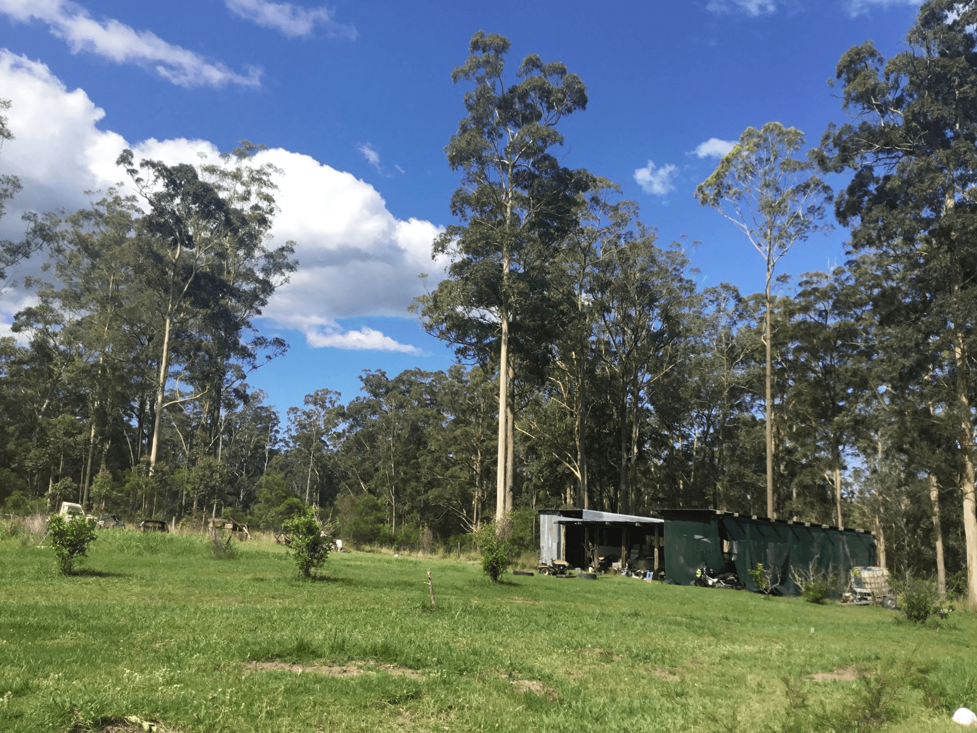 110 Myers Lane, Dondingalong, NSW 2440