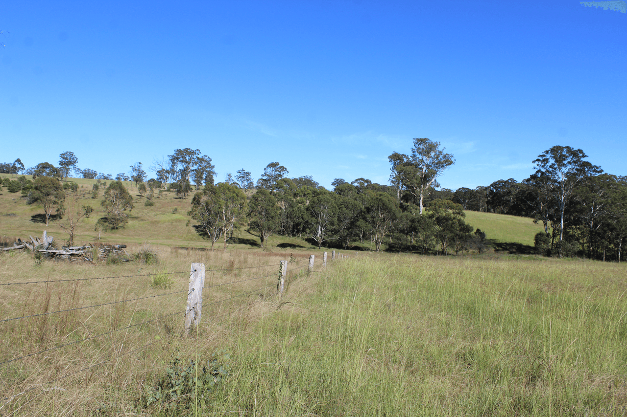 24 Carters Rd, LEGUME, NSW 2476