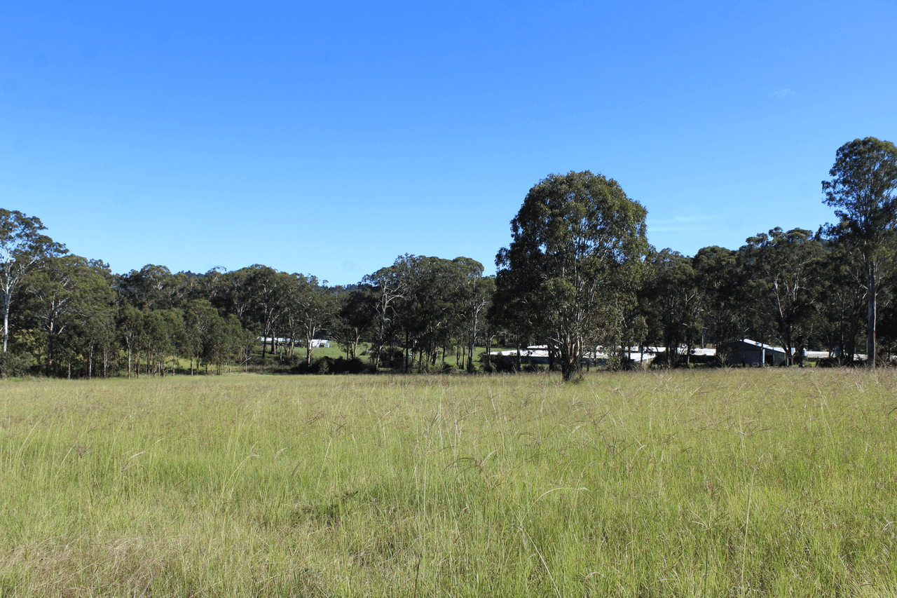 24 Carters Rd, LEGUME, NSW 2476