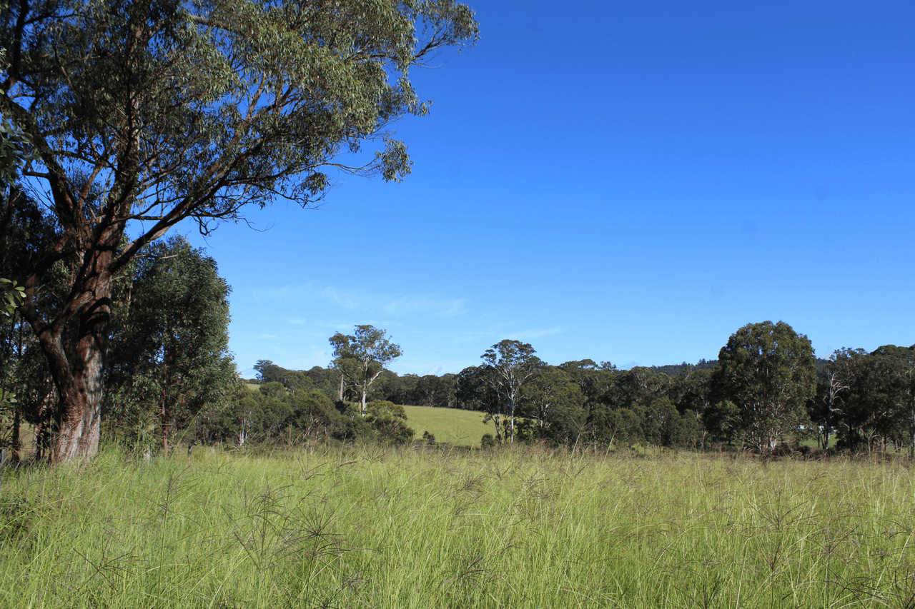 24 Carters Rd, LEGUME, NSW 2476