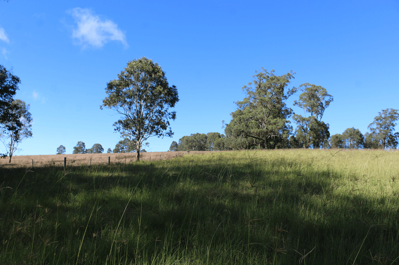 24 Carters Rd, LEGUME, NSW 2476