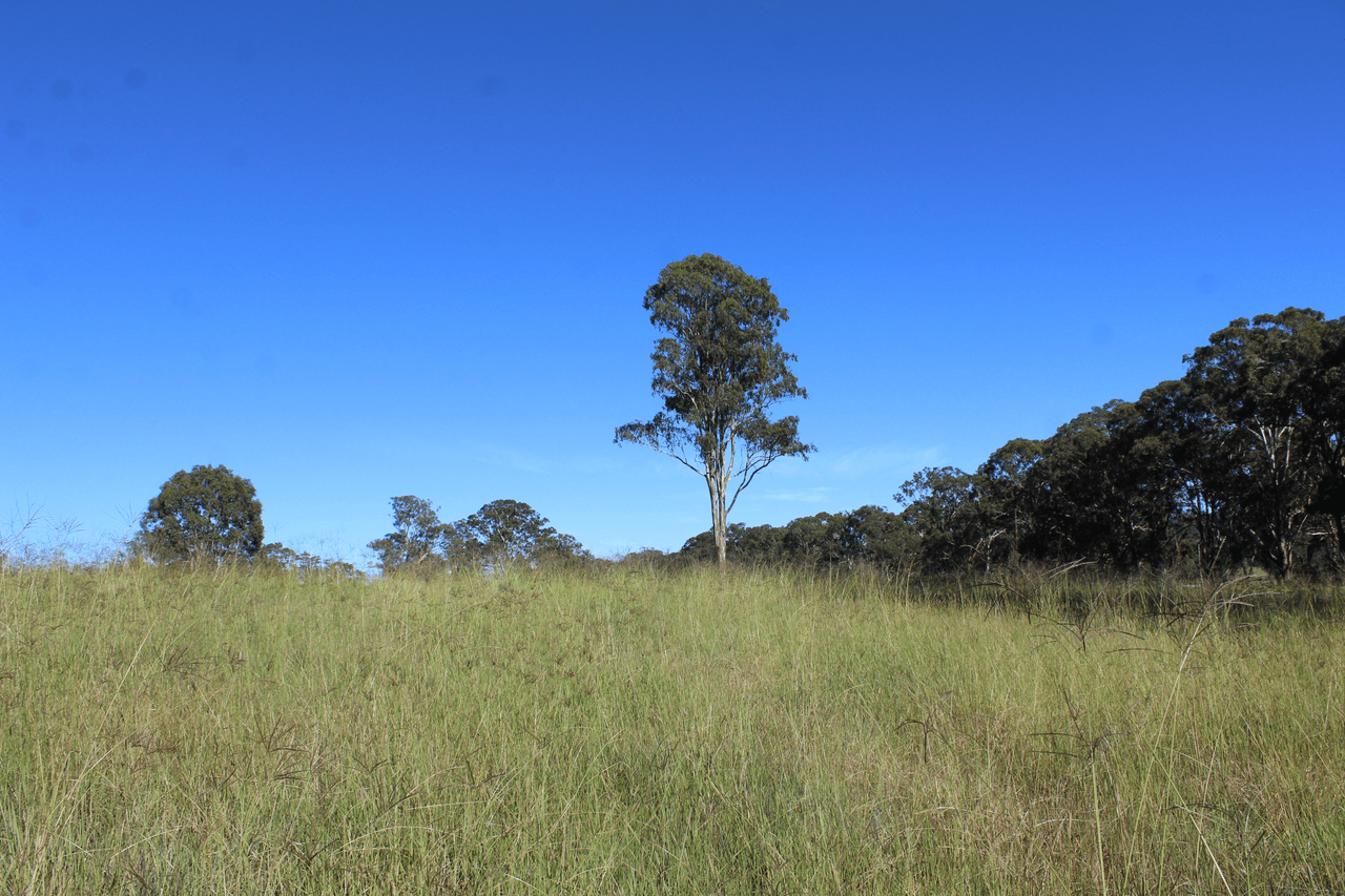 24 Carters Rd, LEGUME, NSW 2476