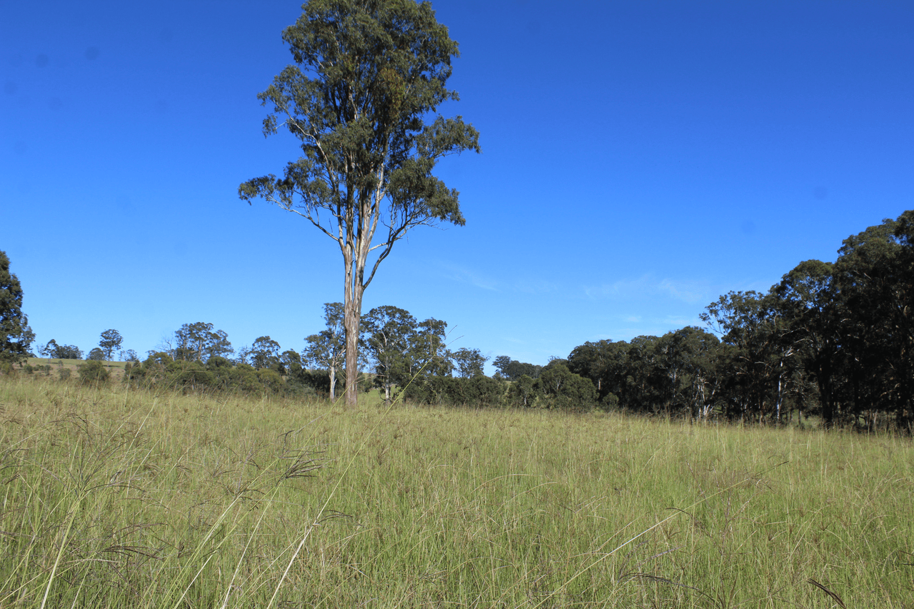 24 Carters Rd, LEGUME, NSW 2476