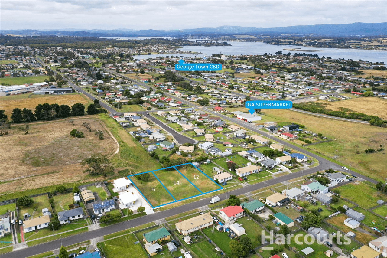 12 Widdowson Street, George Town, TAS 7253