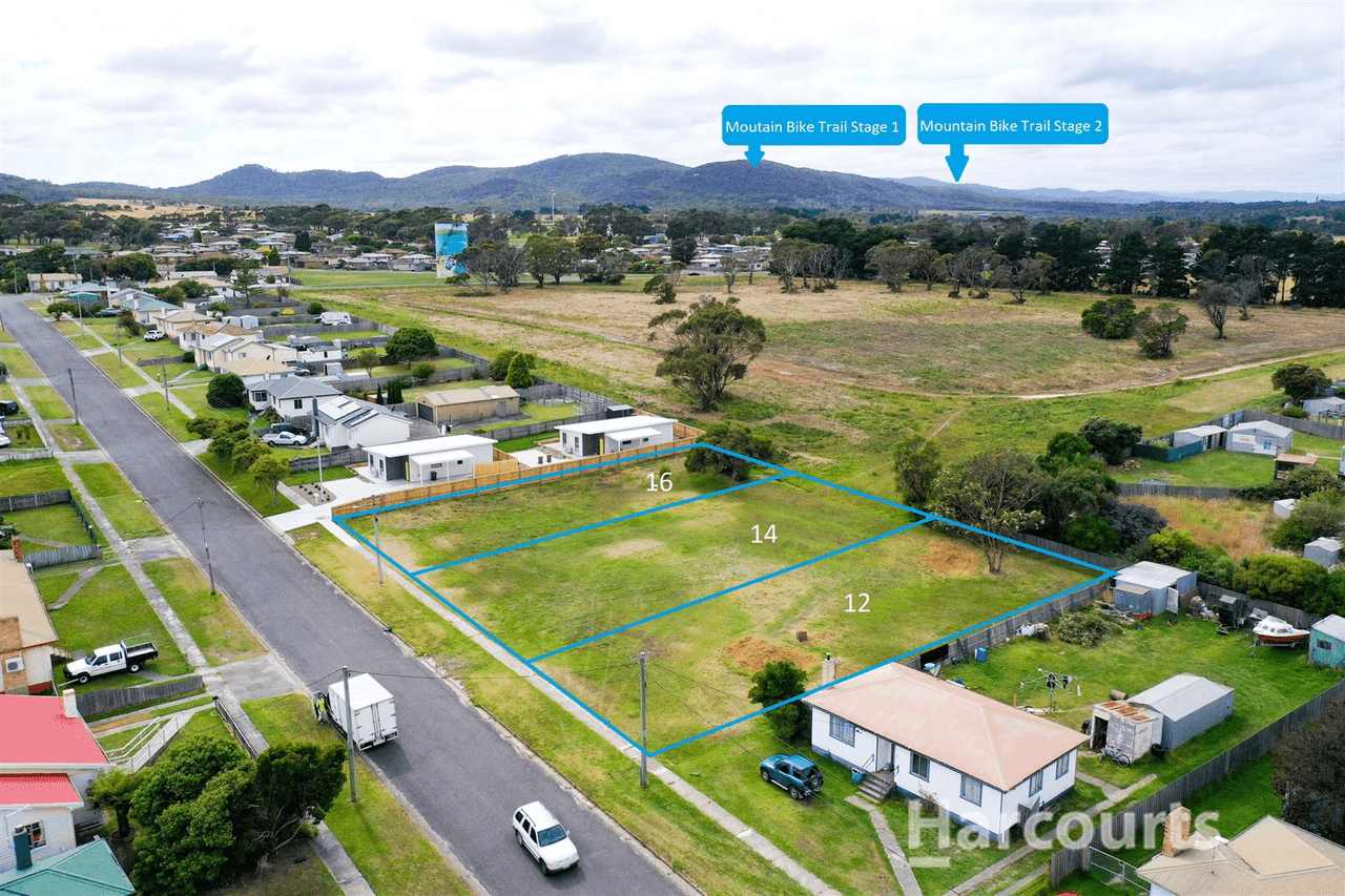 12 Widdowson Street, George Town, TAS 7253