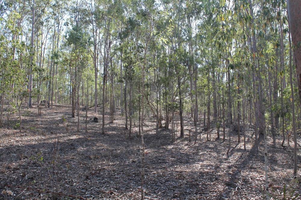 194-228 Grandchester Mt Mort Road, GRANDCHESTER, QLD 4340