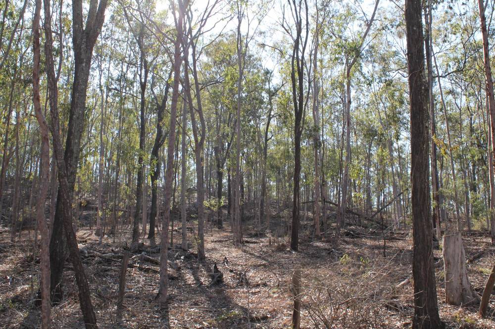 194-228 Grandchester Mt Mort Road, GRANDCHESTER, QLD 4340