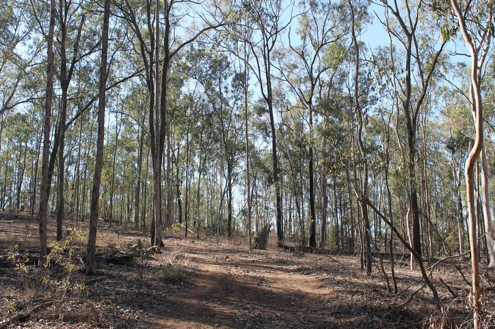 194-228 Grandchester Mt Mort Road, GRANDCHESTER, QLD 4340