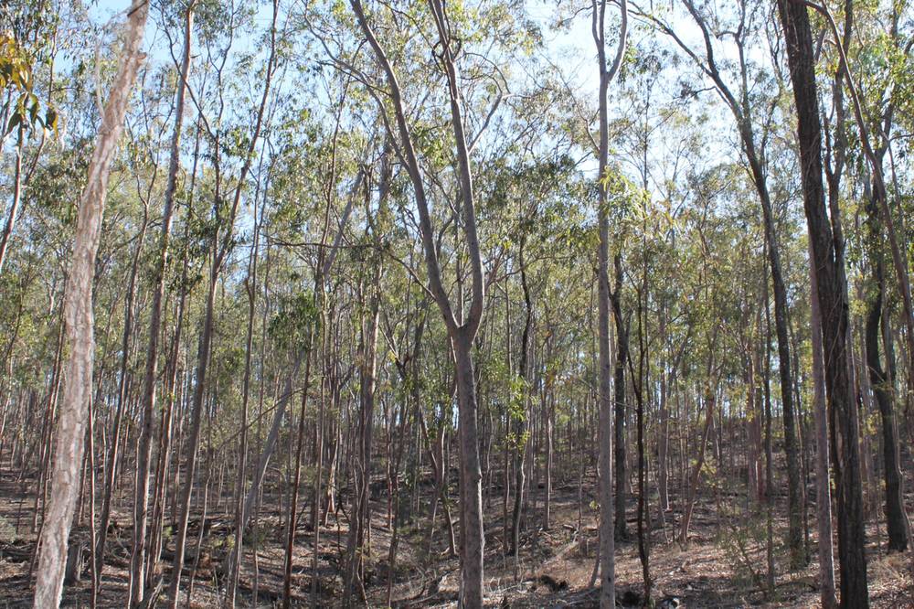 194-228 Grandchester Mt Mort Road, GRANDCHESTER, QLD 4340