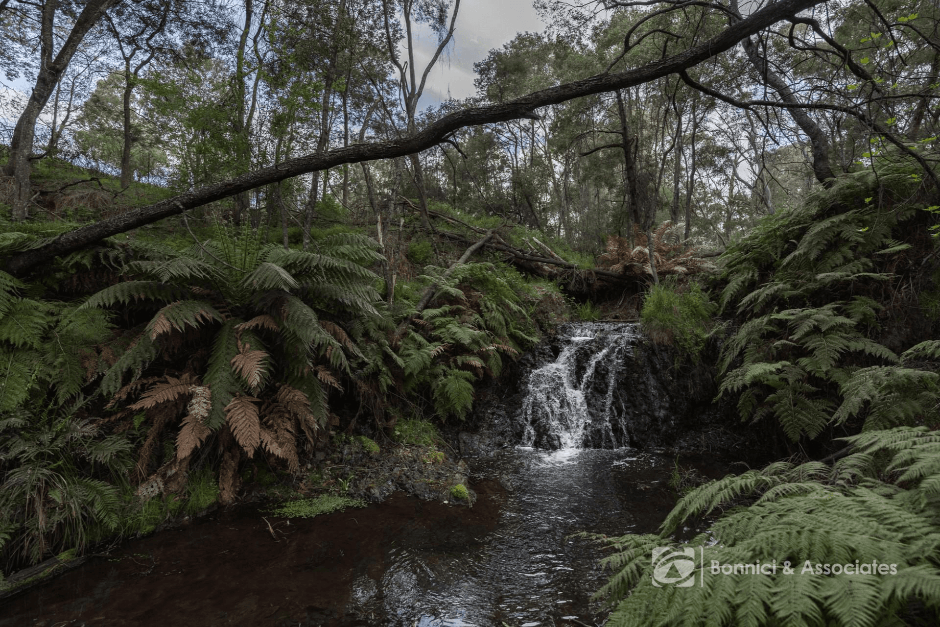 149 Waterfall Creek Road, Tallangatta Valley, VIC 3701