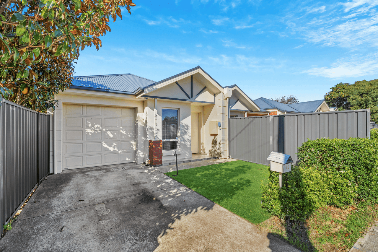 25 David Avenue, MITCHELL PARK, SA 5043