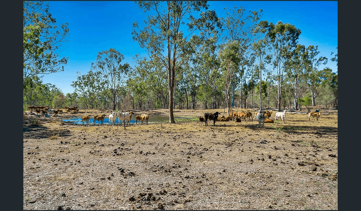 1 Intrepid Drive, FORESHORES, QLD 4678