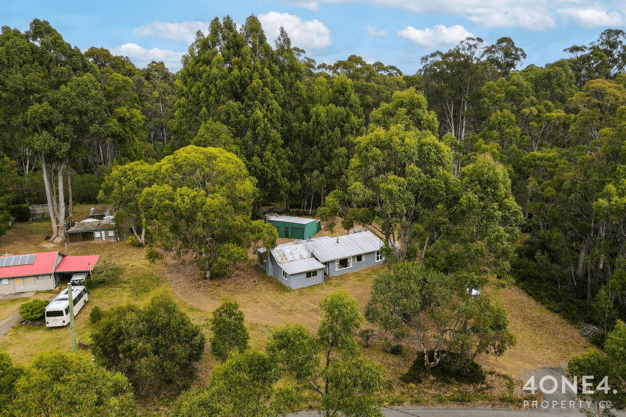 170 Bradys Lake Road, Bradys Lake, TAS 7140