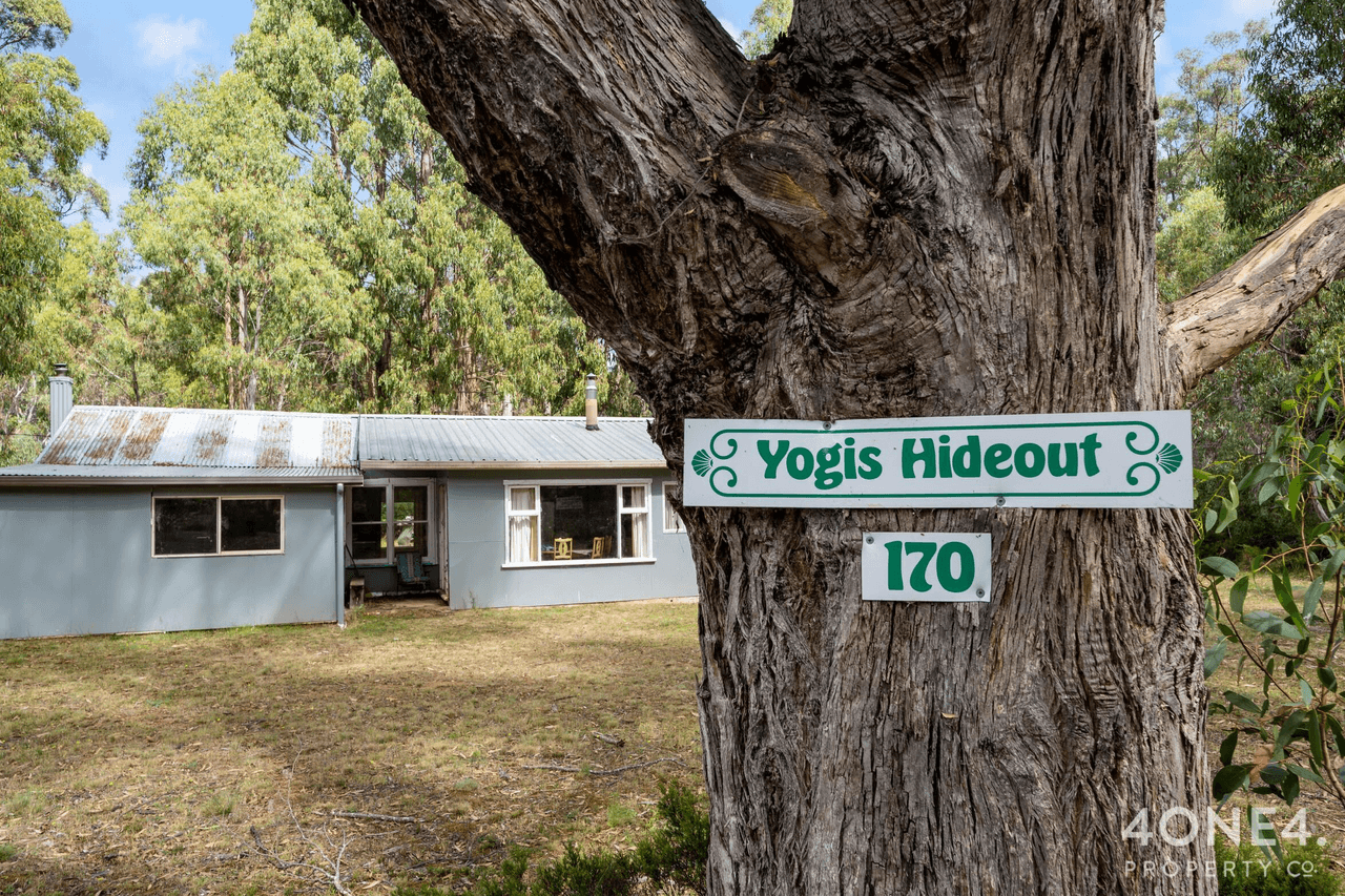 170 Bradys Lake Road, Bradys Lake, TAS 7140