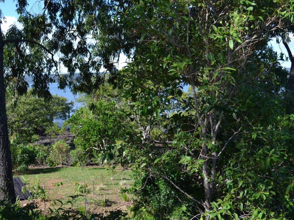 21 Blue Bay Crescent, MACLEAY ISLAND, QLD 4184