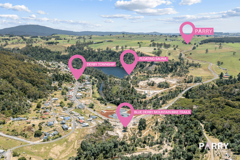 31692 Tasman Highway, DERBY, TAS 7264