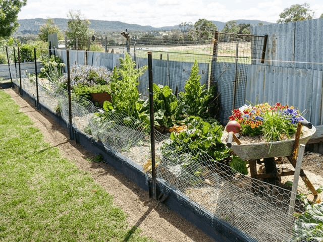 132c Sunnyside Platform Road, Tenterfield, NSW 2372