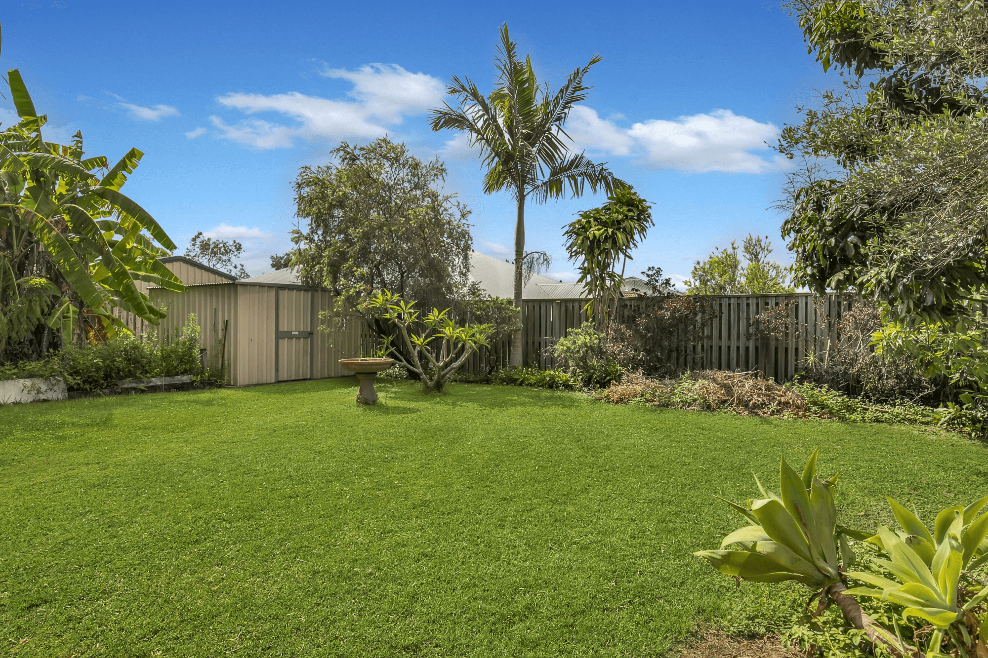 31 Paperbark Circuit, MOGGILL, QLD 4070