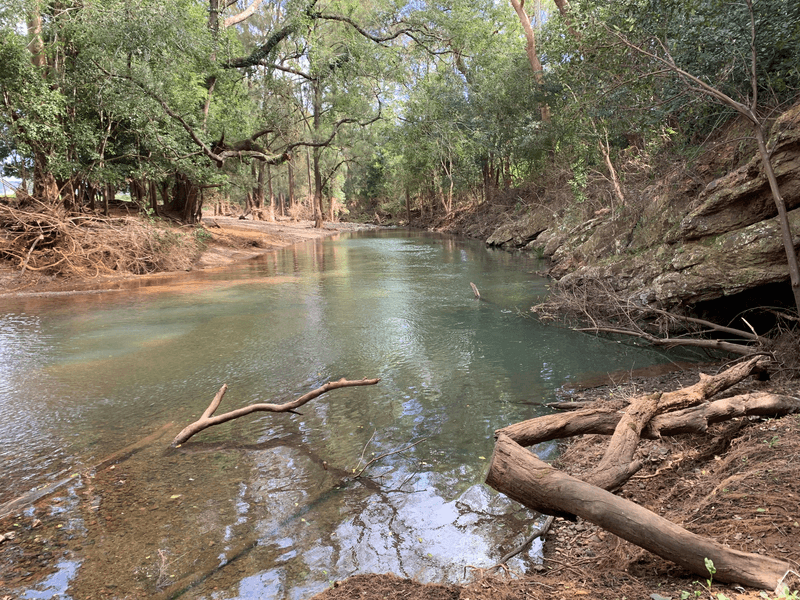 89 McMillans Road, TOMS CREEK, NSW 2446