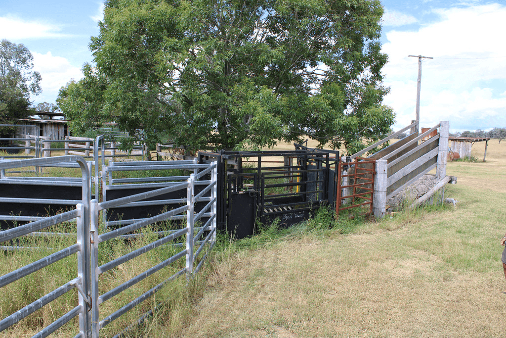 631 Bonshaw Road, ASHFORD, NSW 2361