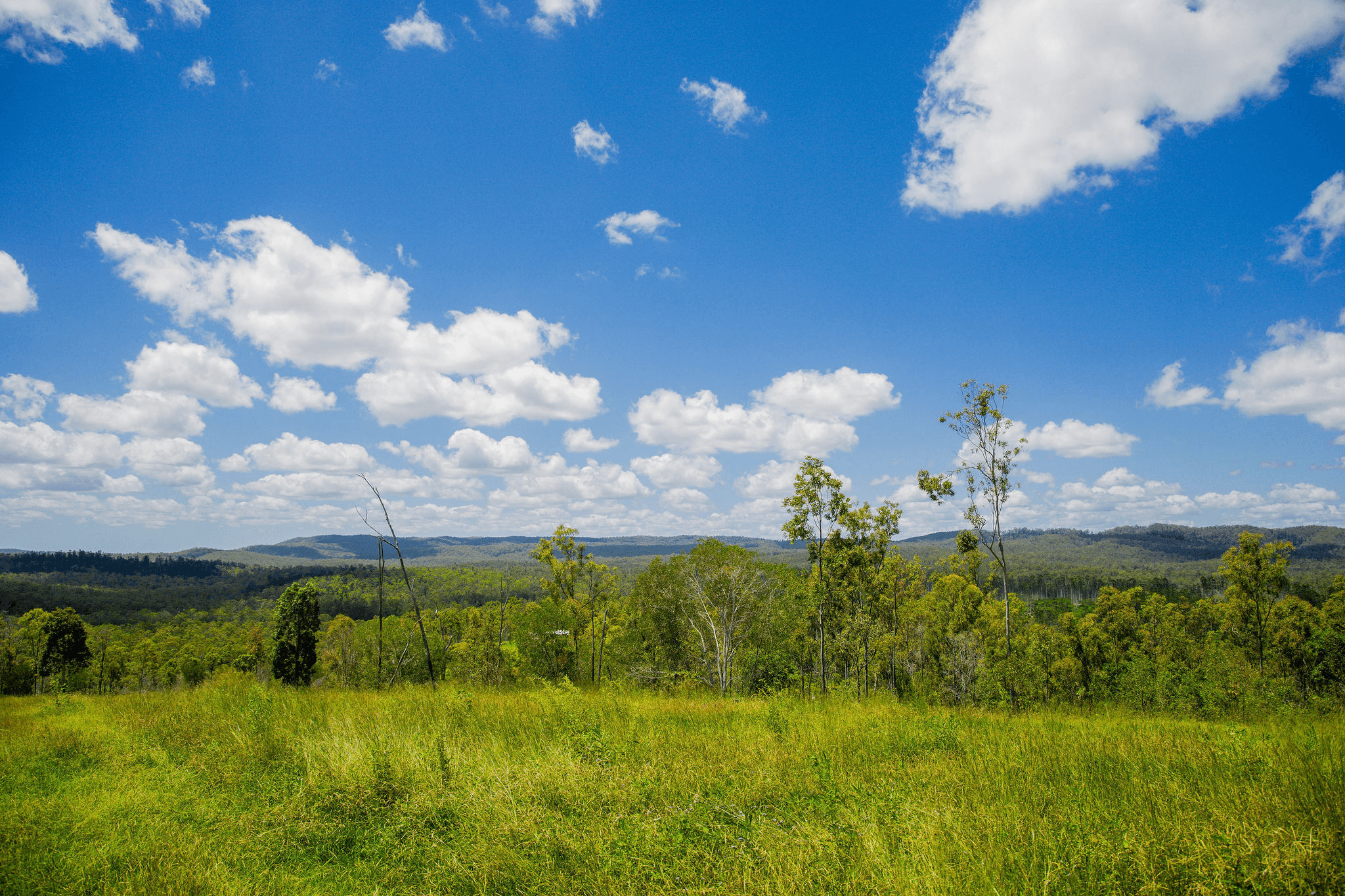 CLIFTON CREEK LEFT ROAD, Brooweena, QLD 4620