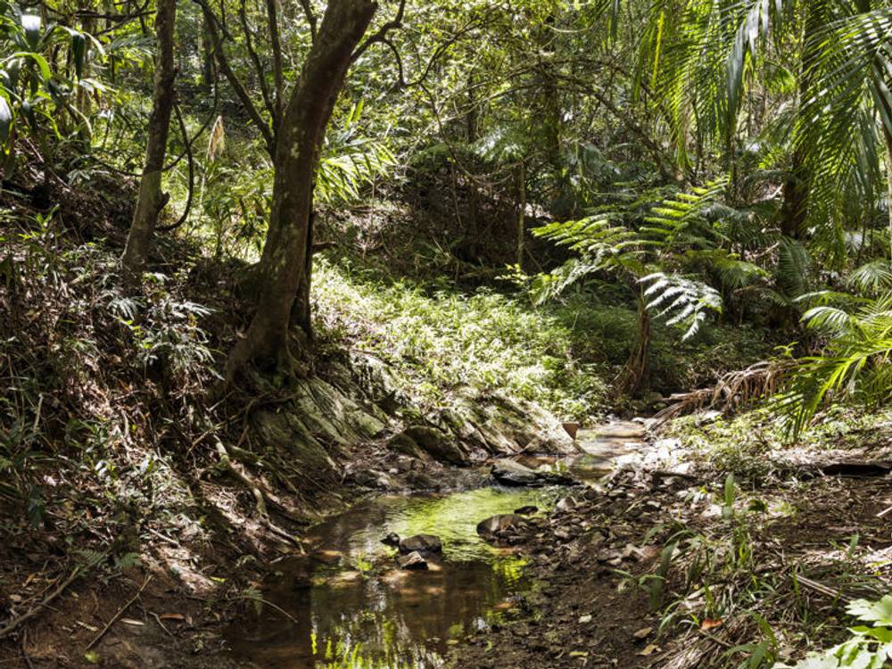 150 Braeside Drive, UKI, NSW 2484