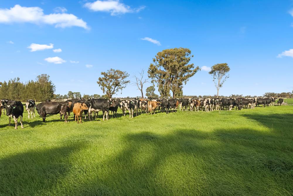2425 Lilford Road, KYABRAM, VIC 3620