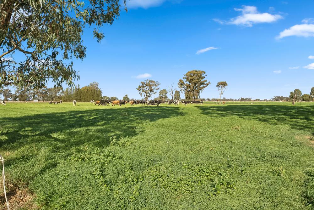 2425 Lilford Road, KYABRAM, VIC 3620