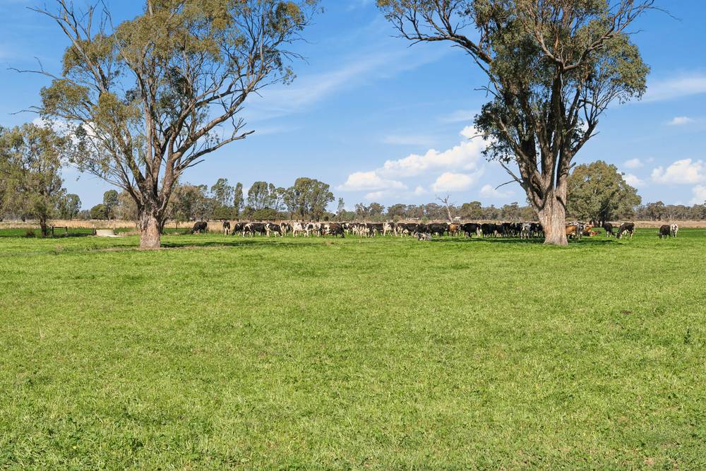 2425 Lilford Road, KYABRAM, VIC 3620