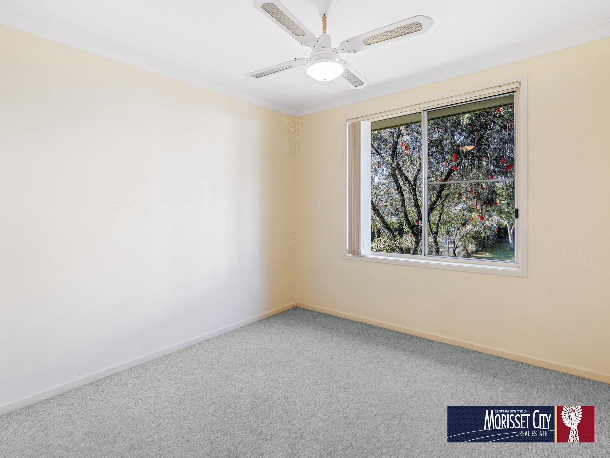 17 Glenrose Crescent, COORANBONG, NSW 2265