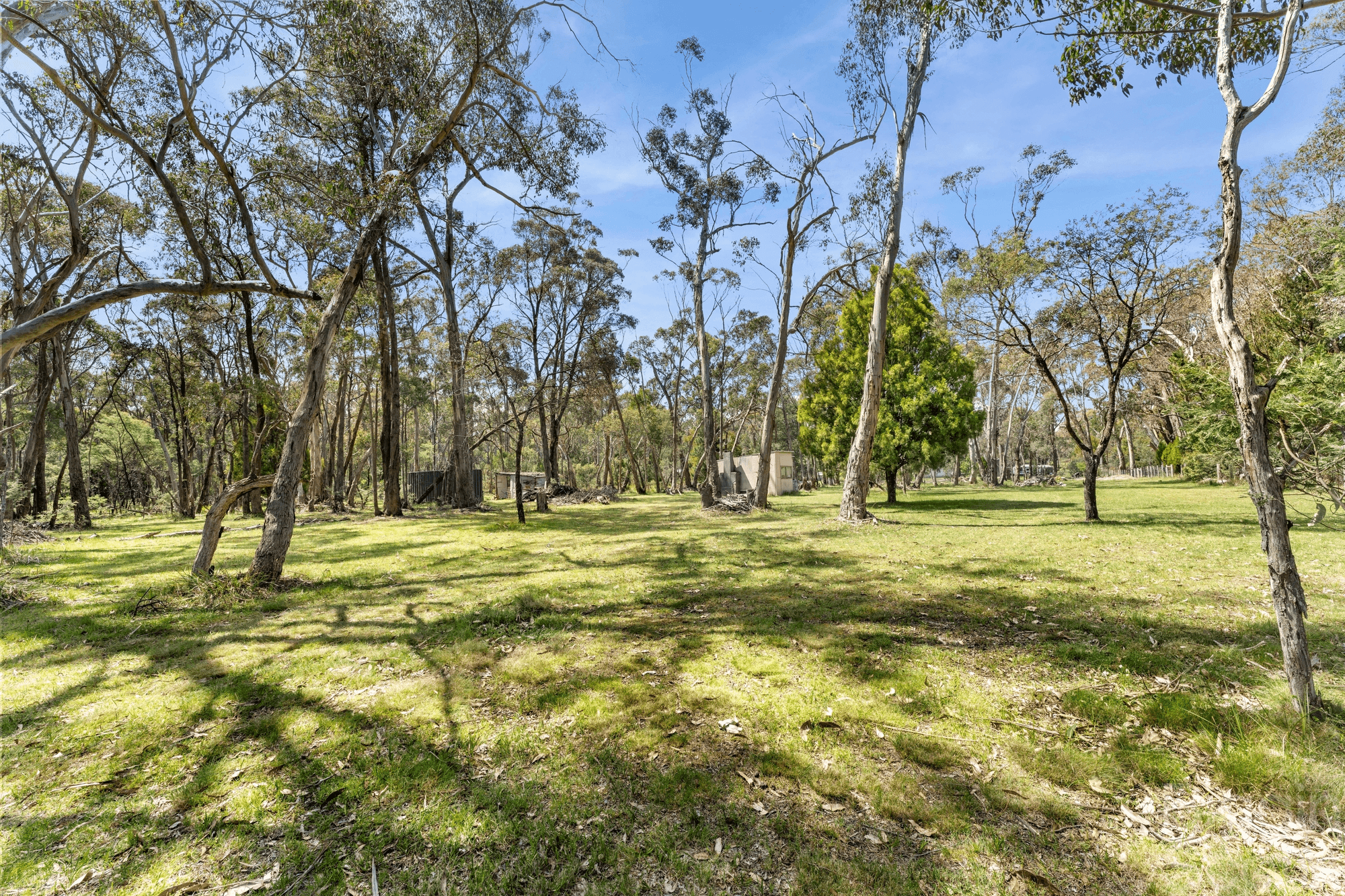 65 Springhill Road, DENVER, VIC 3461