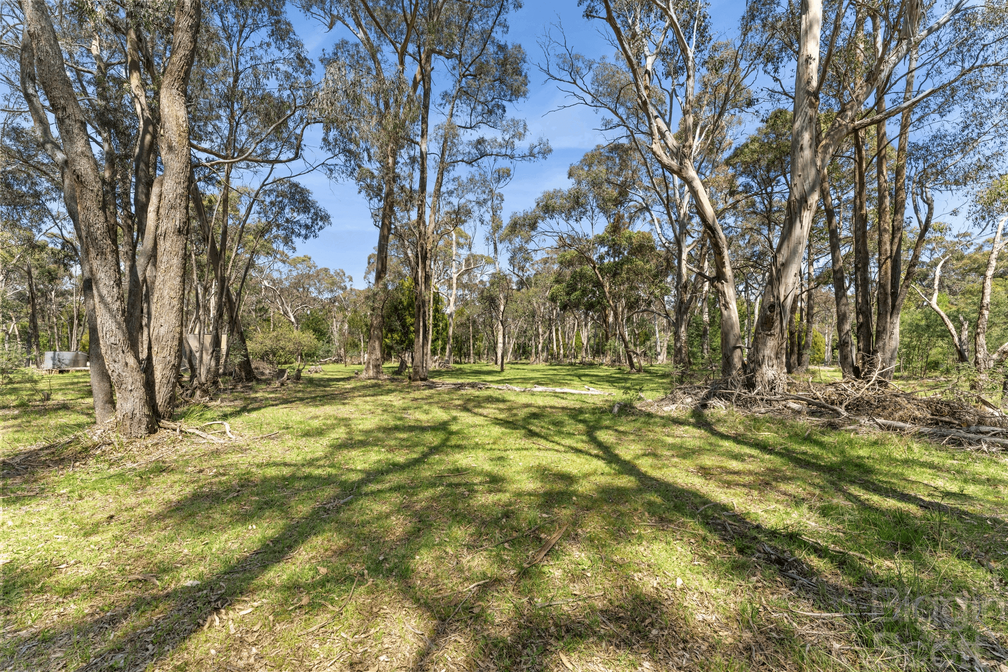 65 Springhill Road, DENVER, VIC 3461