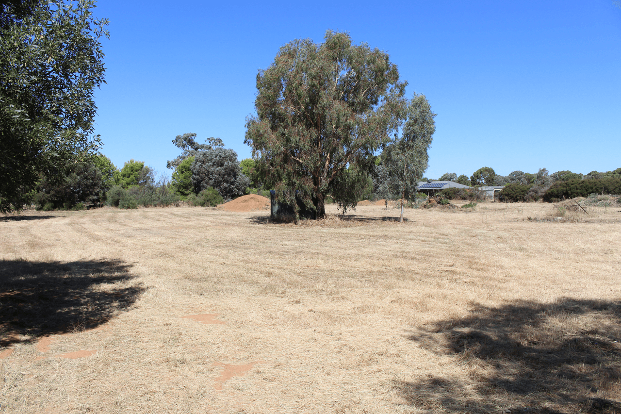 Lot 5, 129  Reilly''s Road, YARRAWONGA, VIC 3730