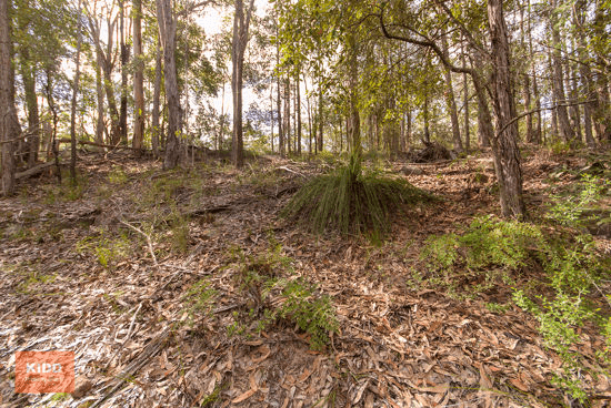 62 Una Road, BUCKETTY, NSW 2250