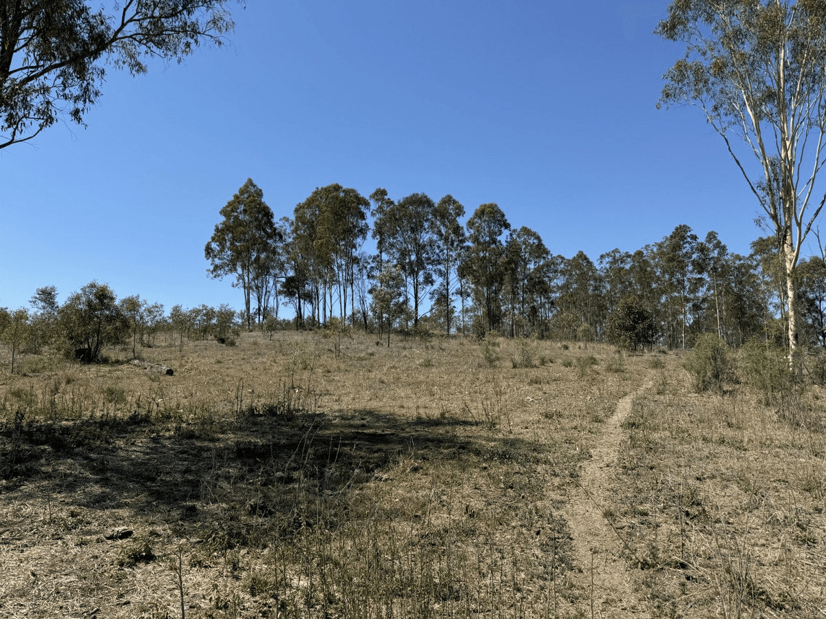 Coppin Road, MOONFORD, QLD 4630