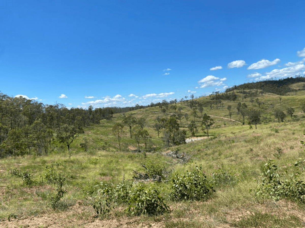 Coppin Road, MOONFORD, QLD 4630