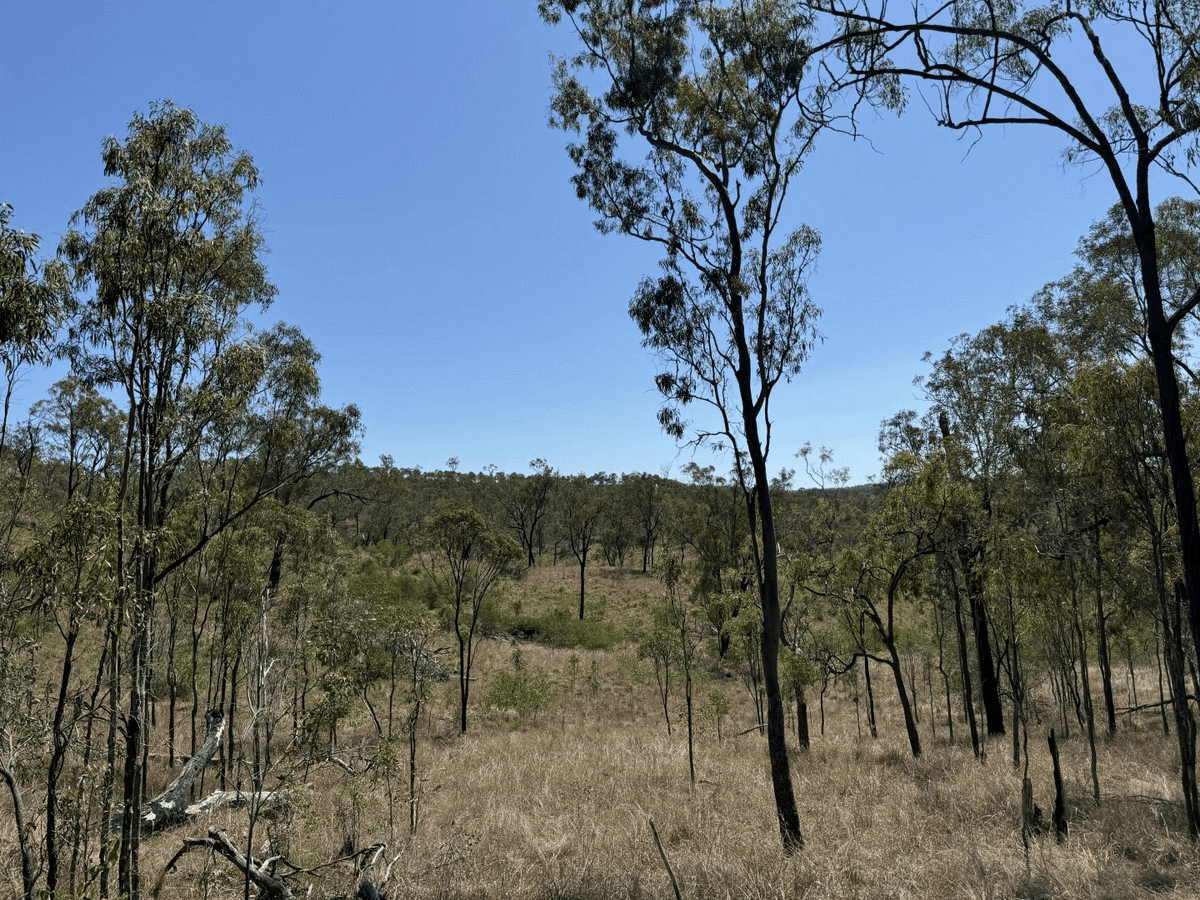 Coppin Road, MOONFORD, QLD 4630