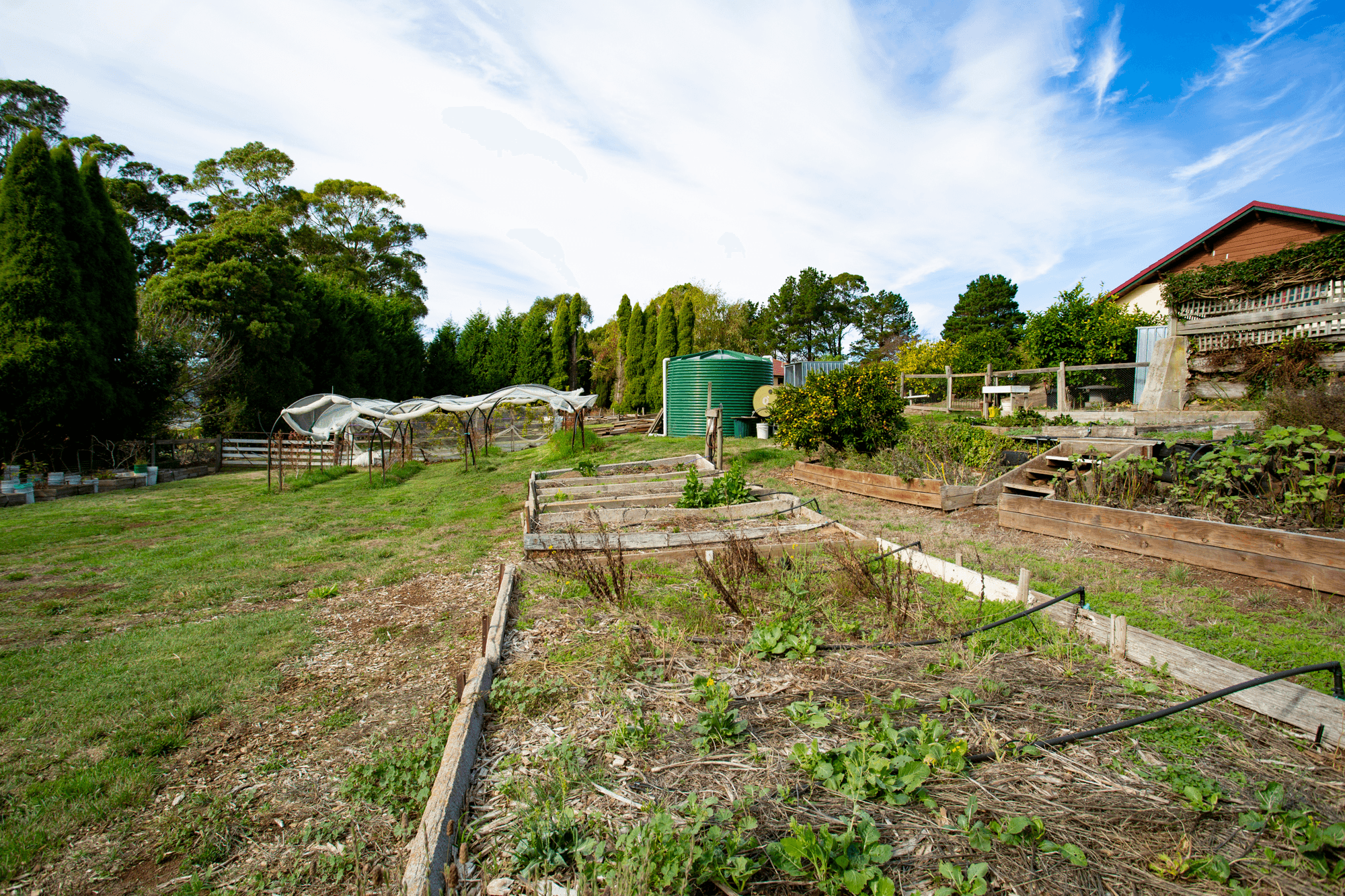 1 Pine Tree Avenue, GRINDELWALD, TAS 7277