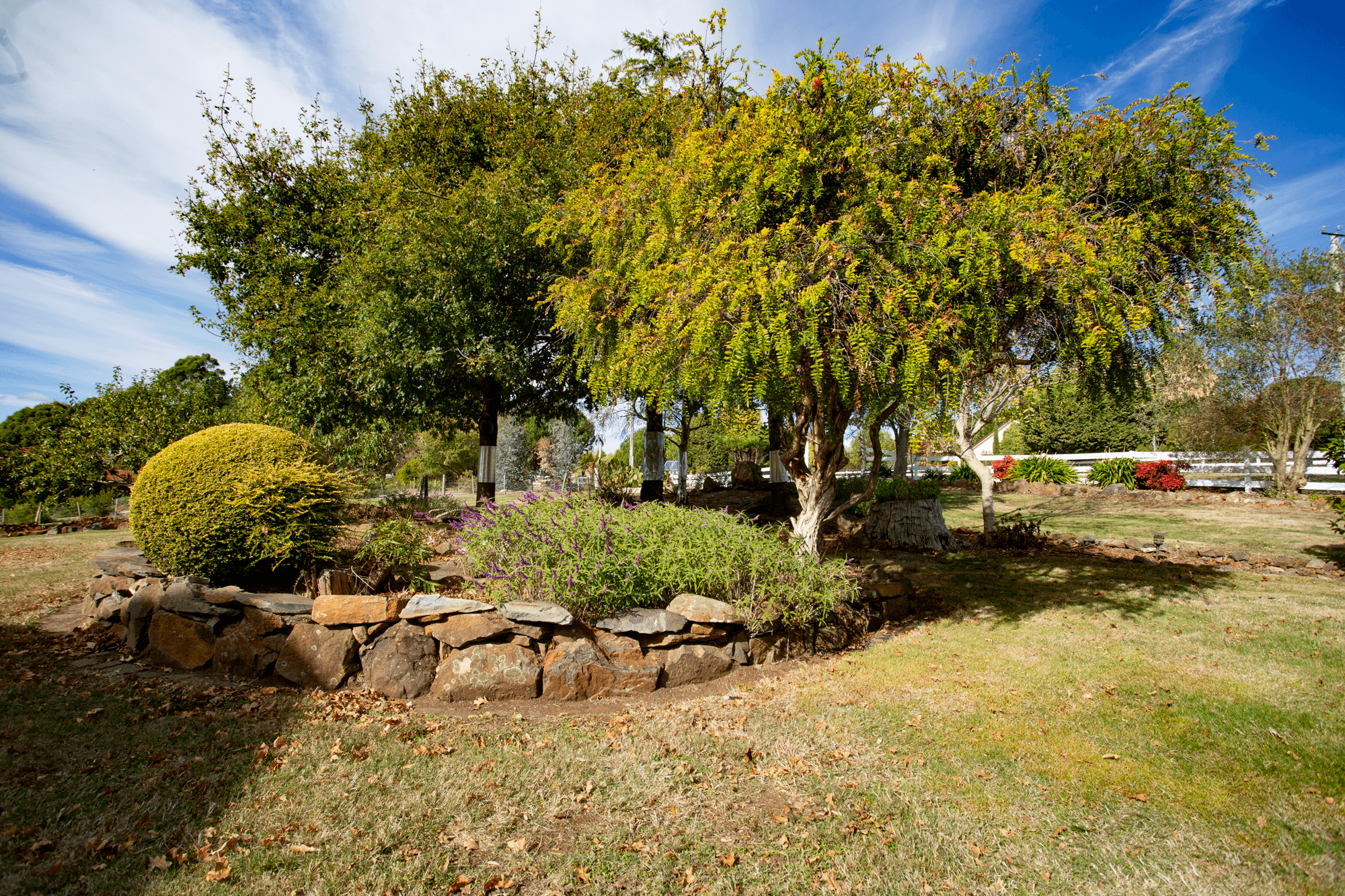 1 Pine Tree Avenue, GRINDELWALD, TAS 7277