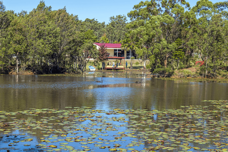 50 Kungala Road, HALFWAY CREEK, NSW 2460