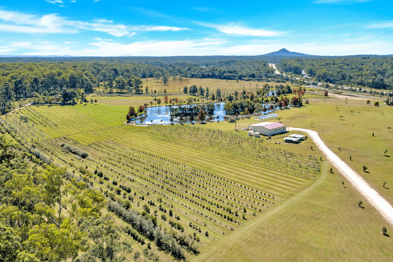 50 Kungala Road, HALFWAY CREEK, NSW 2460