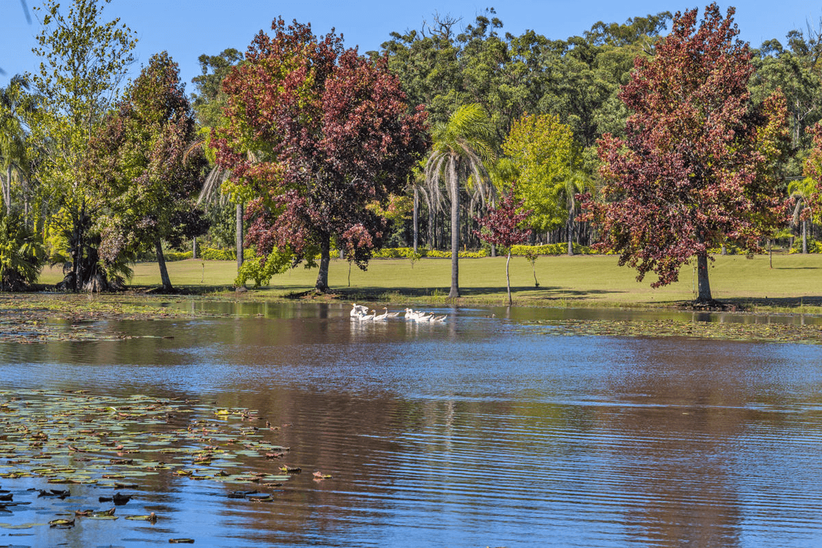 50 Kungala Road, HALFWAY CREEK, NSW 2460