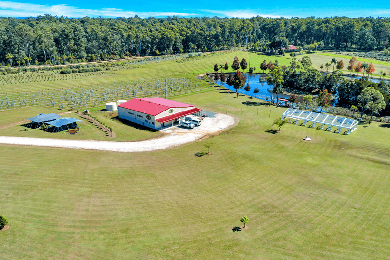 50 Kungala Road, HALFWAY CREEK, NSW 2460