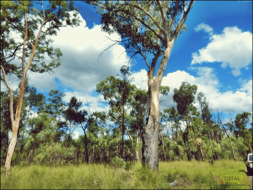 Lot 15 Gore Highway, CONDAMINE FARMS, QLD 4357