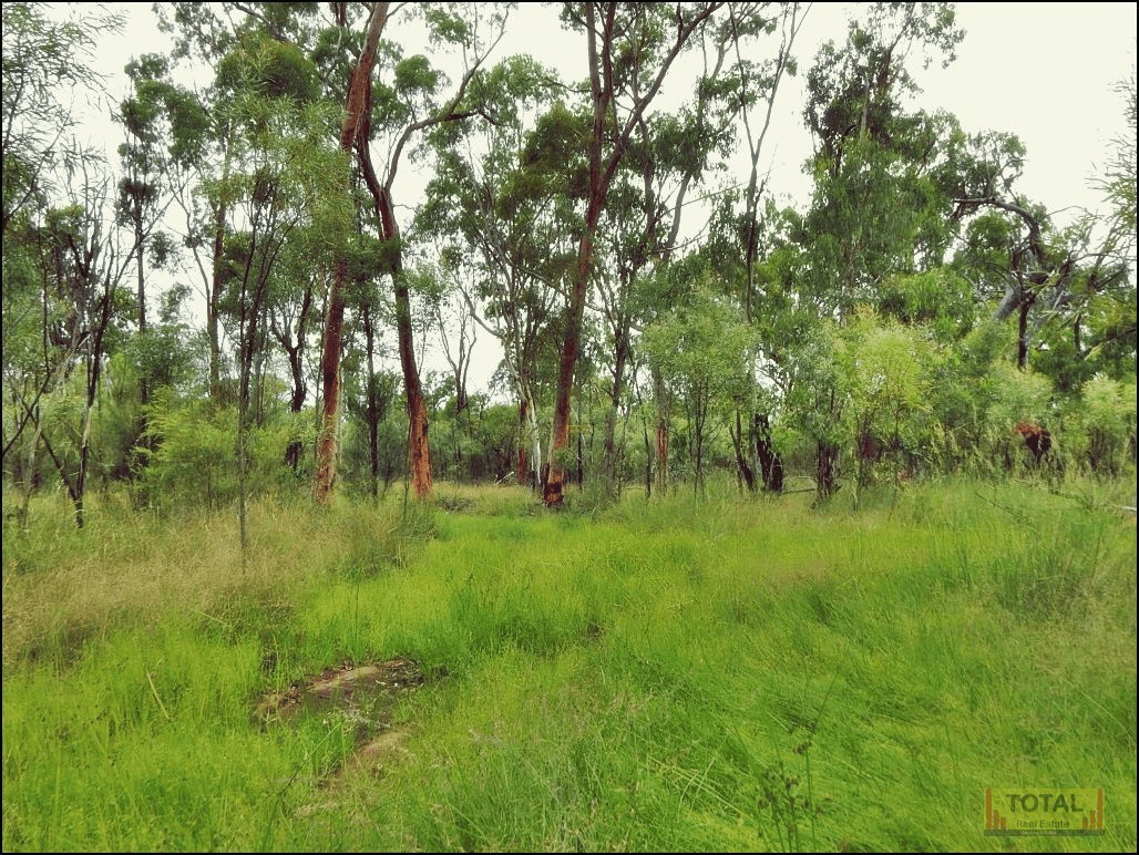 Lot 15 Gore Highway, CONDAMINE FARMS, QLD 4357