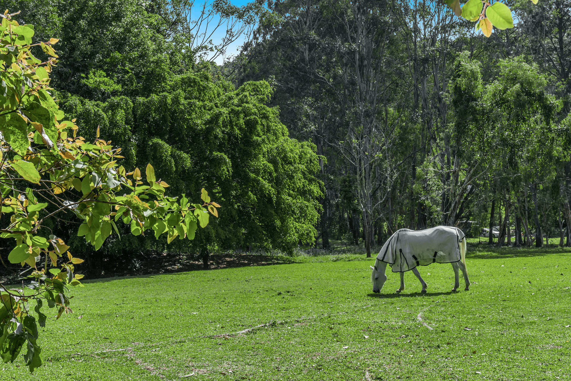 76 Green Valley Way, Piggabeen, NSW 2486