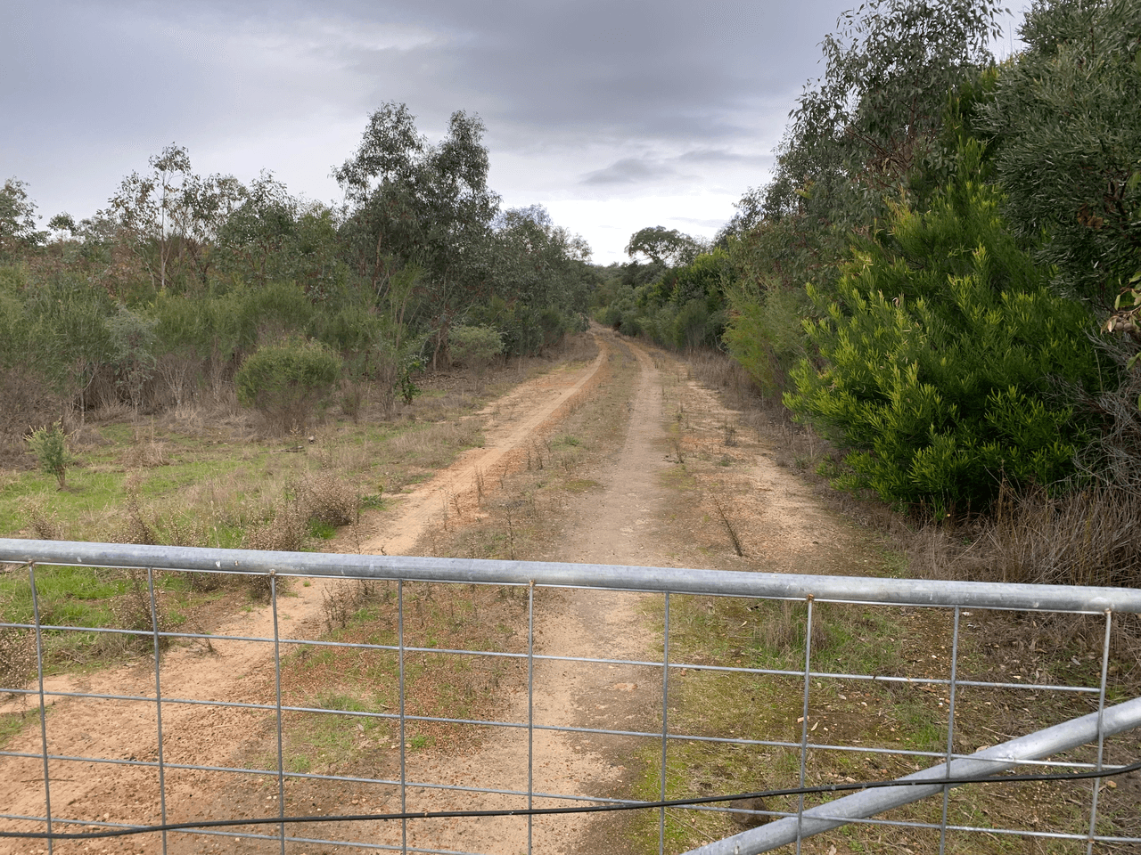 Lot 101 Morris Road, THE PLAINS, WA 6237