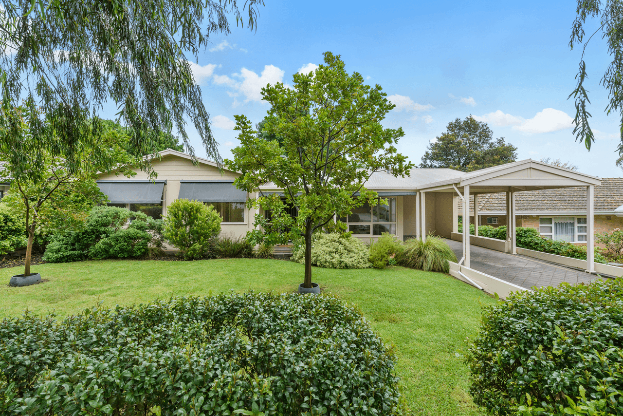 31 Pepper Street, MAGILL, SA 5072